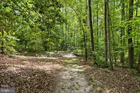7601 Tributary Court Fredericksburg VA 22408
