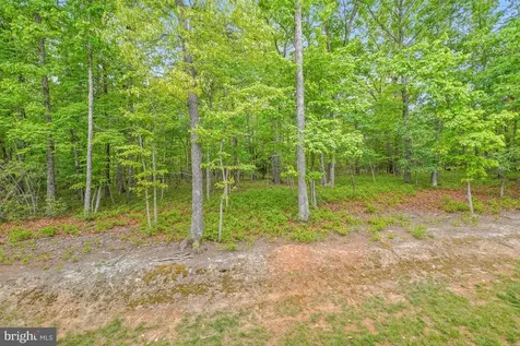 8524 Laroque Run Drive Fredericksburg VA 22407