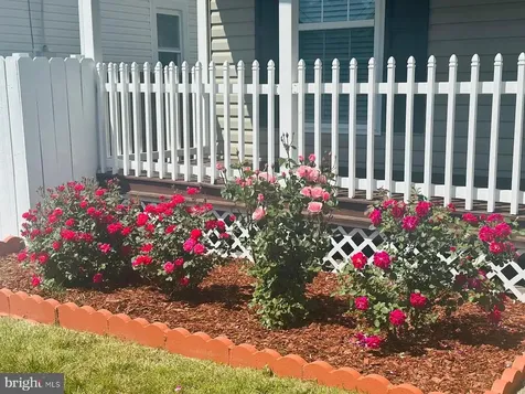 110 Mosby Street Fredericksburg VA 22408