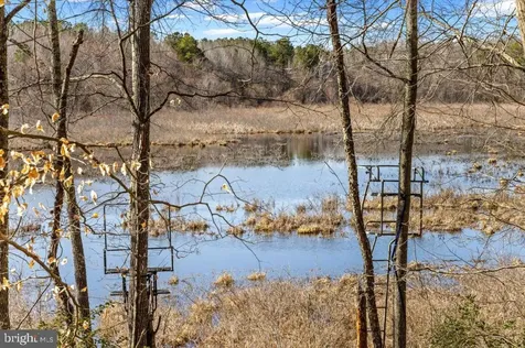 7610 Downstream Court Fredericksburg VA 22408