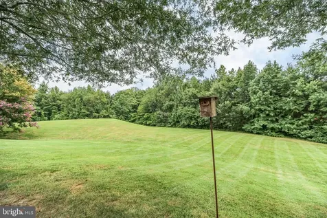 11921 Legacy Woods Drive Fredericksburg VA 22407