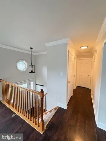 11803 Nicholas Drive Fredericksburg VA 22407