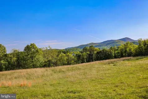 Portion Of Tax Id 38-71 Sperryville VA 22740