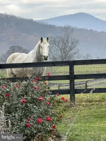 23 White Horse Hill Lane Amissville VA 20106