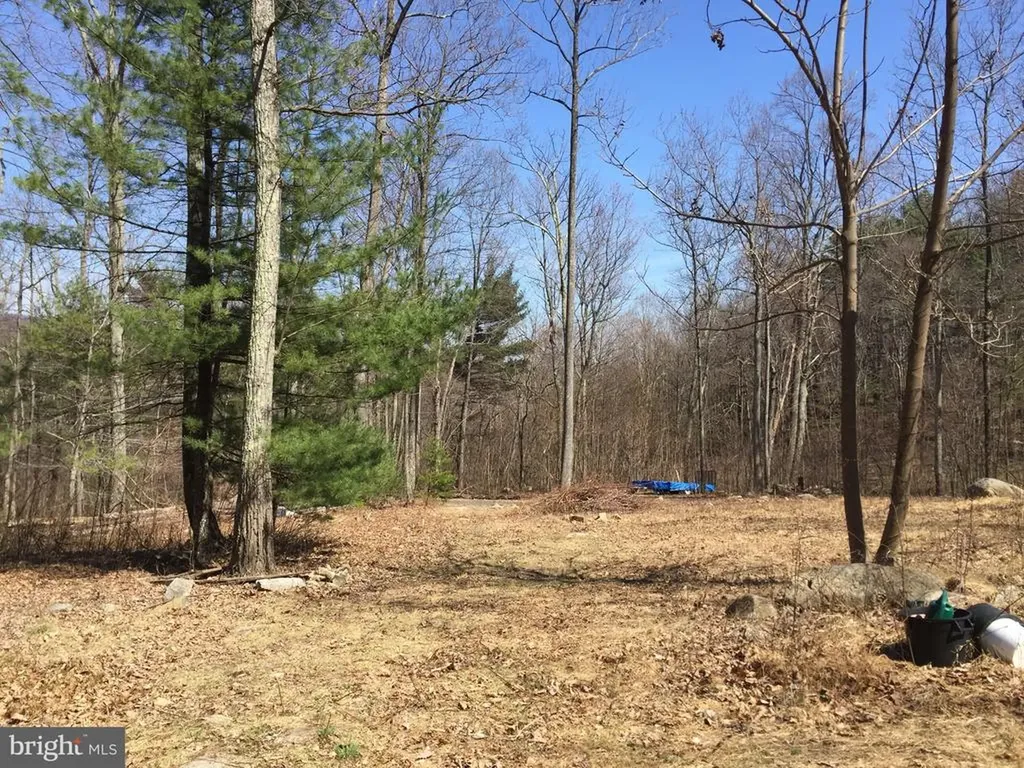 0 Padua Lane Sperryville VA 22740