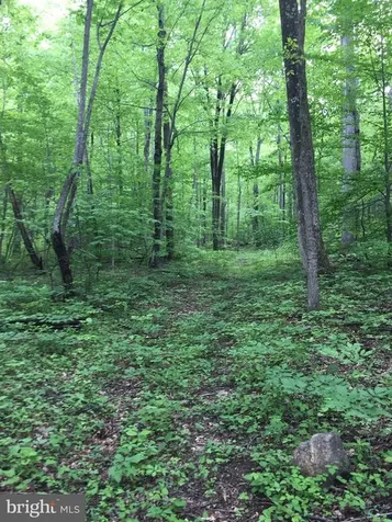 0 Padua Lane Sperryville VA 22740