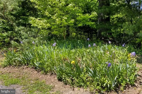 105 Swindler Hollow Road Sperryville VA 22740