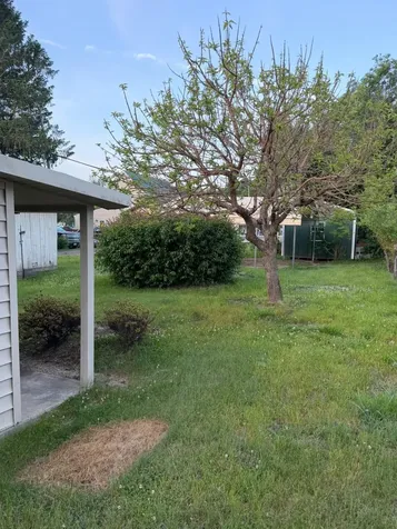 22 Water Street Sperryville VA 22740