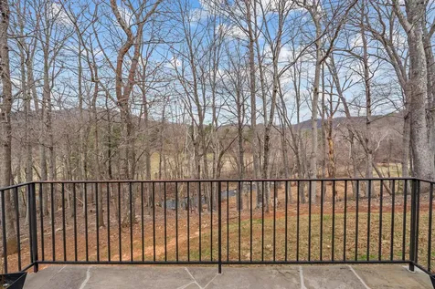 94 Old Hollow Road Sperryville VA 22740