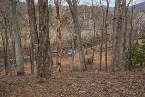 94 Old Hollow Road Sperryville VA 22740
