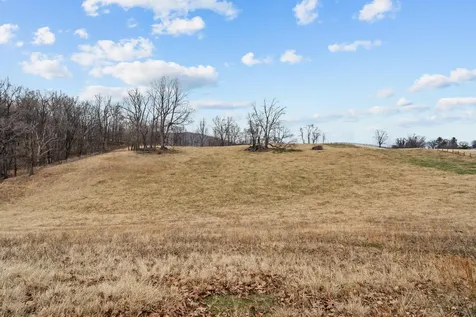 94 Old Hollow Road Sperryville VA 22740