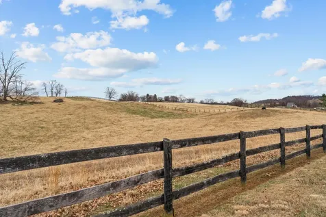 94 Old Hollow Road Sperryville VA 22740