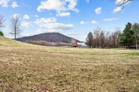 94 Old Hollow Road Sperryville VA 22740