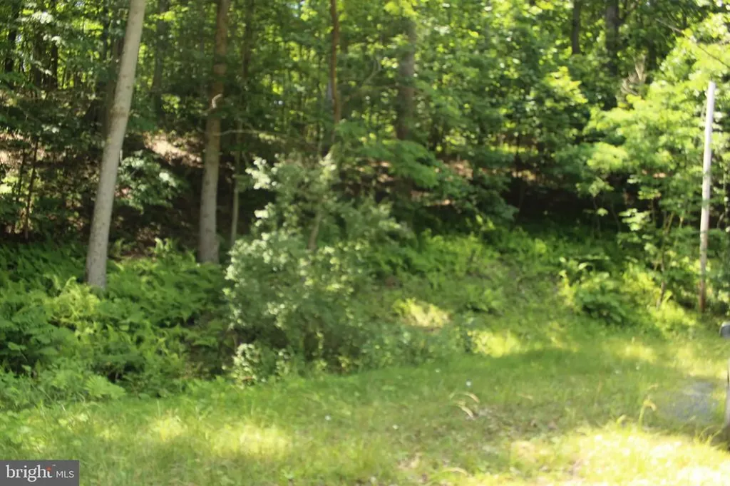 0 Nethers Sperryville VA 22740