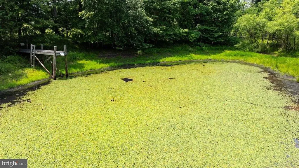 274 Aaron Mountain Road Castleton VA 22716