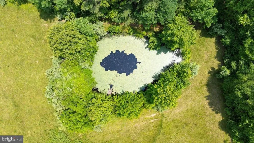 274 Aaron Mountain Road Castleton VA 22716