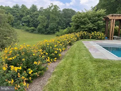 643 Richmond Road Amissville VA 20106