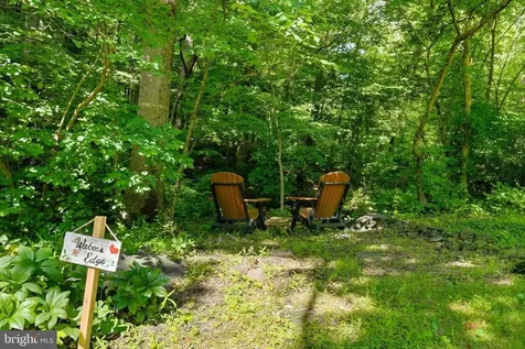 10 Ashby Road Sperryville VA 22740
