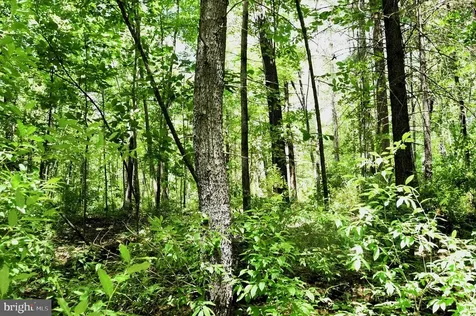 Slate Mills Road Sperryville VA 22740