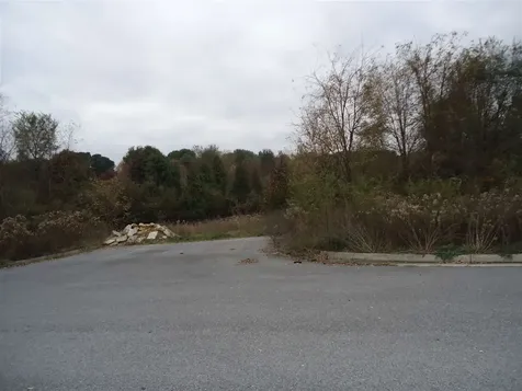 Tbd Lot 4 Pratts Run Lane Waynesboro VA 22980