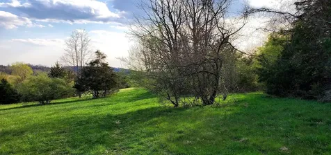 3 Crown Ridge Berry Farm Road Staunton VA 24401