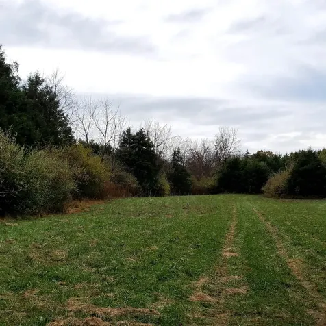 3 Crown Ridge Berry Farm Road Staunton VA 24401
