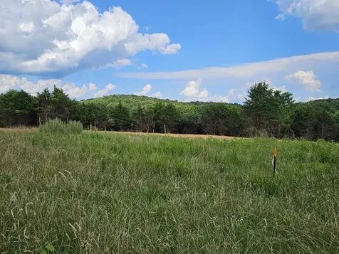 3 Crown Ridge Berry Farm Road Staunton VA 24401