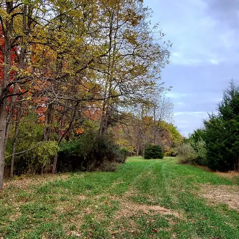 3 Crown Ridge Berry Farm Road Staunton VA 24401