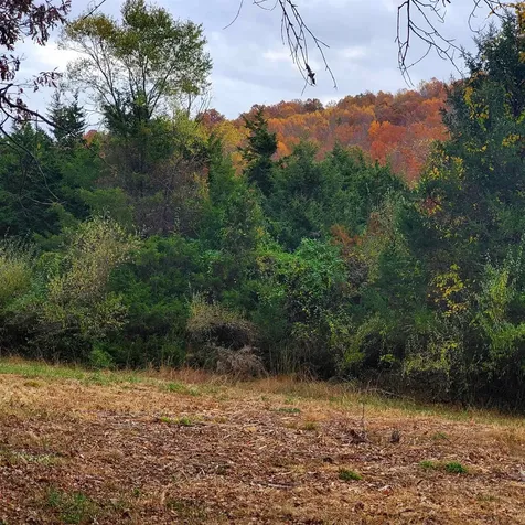 3 Crown Ridge Berry Farm Road Staunton VA 24401