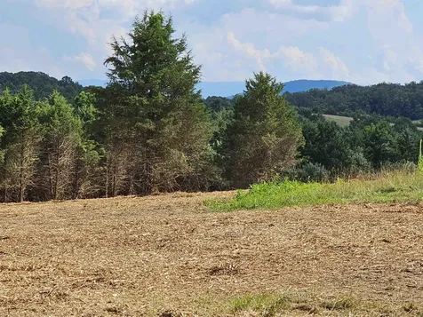 3 Crown Ridge Berry Farm Road Staunton VA 24401