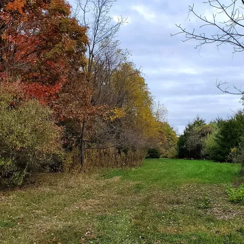 3 Crown Ridge Berry Farm Road Staunton VA 24401