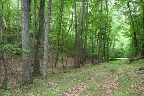 20 High Valley South Monterey VA 24465