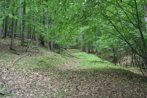 20 High Valley South Monterey VA 24465