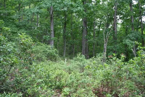 20 High Valley South Monterey VA 24465