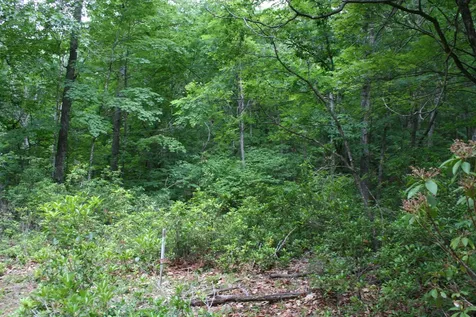 20 High Valley South Monterey VA 24465