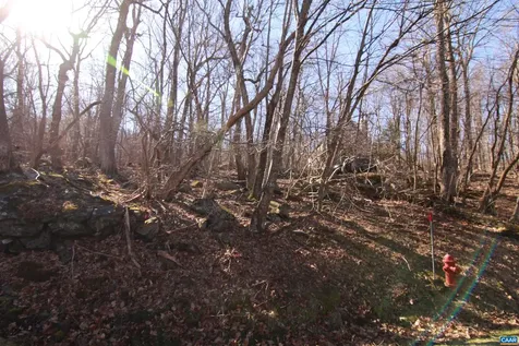 150 Shamokin Springs Trail Wintergreen Resort VA 22967