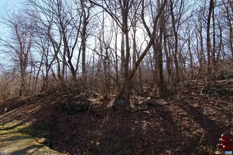 150 Shamokin Springs Trail Wintergreen Resort VA 22967
