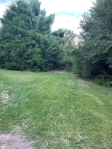0 Three Mile Bank Lane Mt Jackson VA 22842