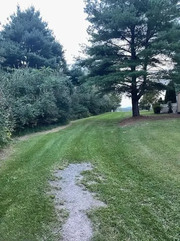 0 Three Mile Bank Lane Mt Jackson VA 22842