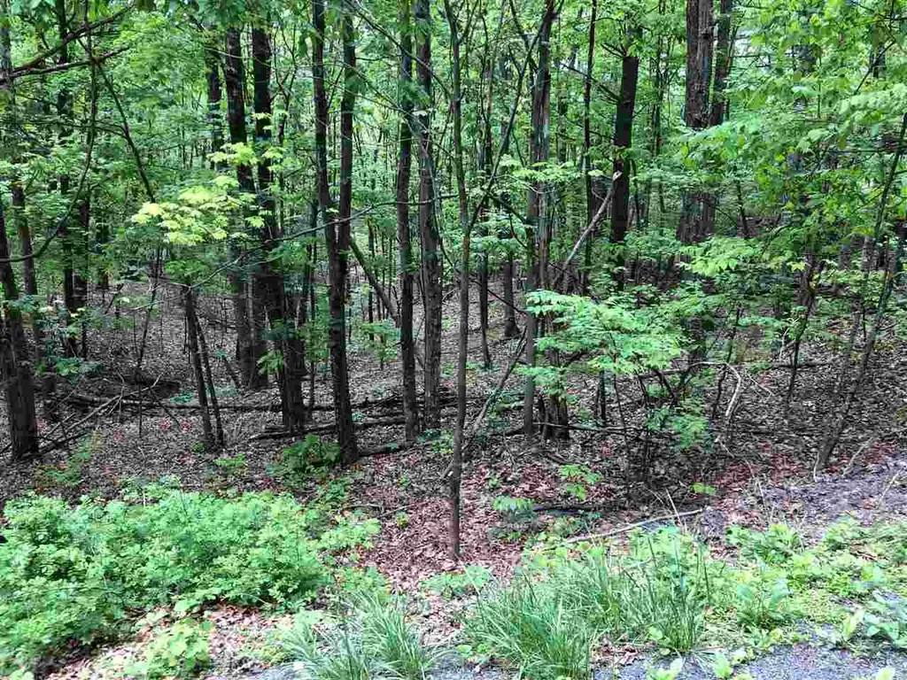 0 Clark Road Basye VA 22810