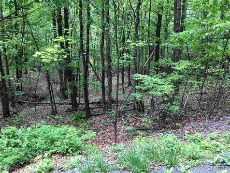 0 Clark Road Basye VA 22810