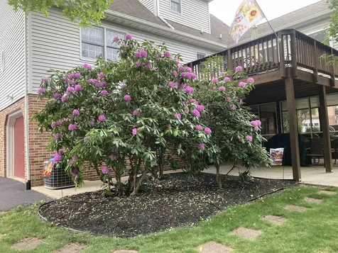 36 Spring Court Waynesboro VA 22980