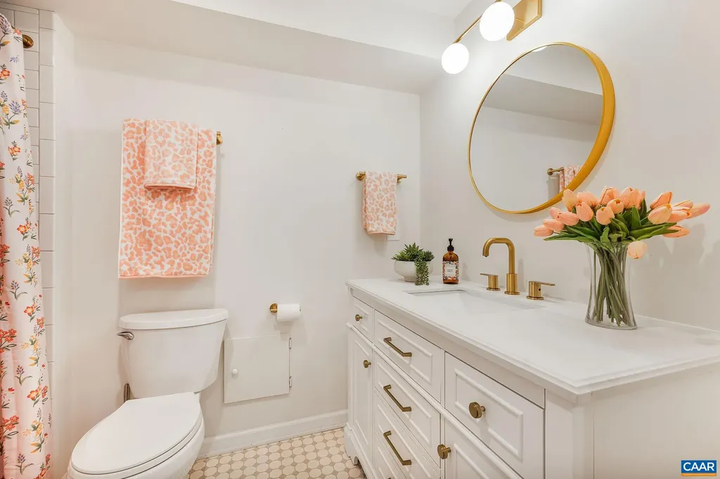 1007 Holmes Avenue Charlottesville VA 22901