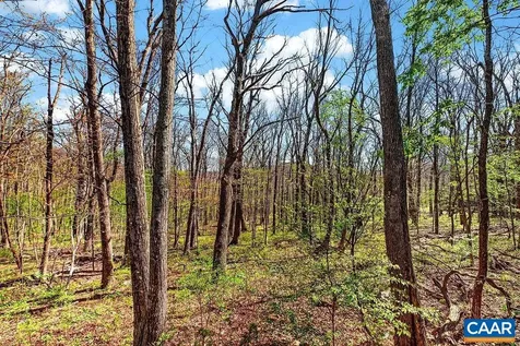 952 Blue Ridge Drive Wintergreen Resort VA 22967