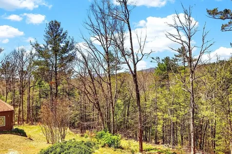 26 Bobcat Hill West Augusta VA 24485