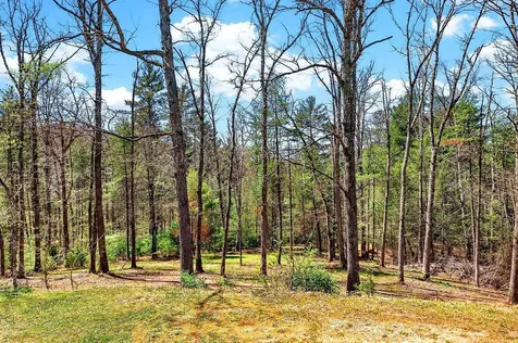 26 Bobcat Hill West Augusta VA 24485