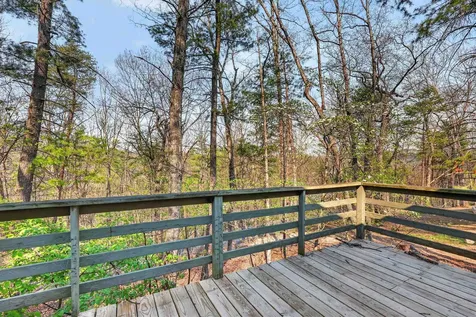 213 Morrie Drive Basye VA 22810