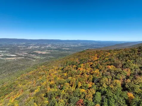323 Palmer Road Basye VA 22810
