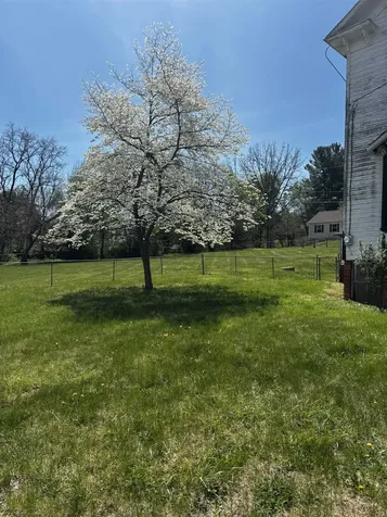 502 Tannehill Street Staunton VA 24401