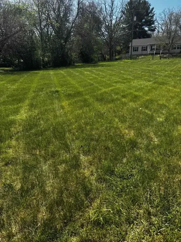 502 Tannehill Street Staunton VA 24401